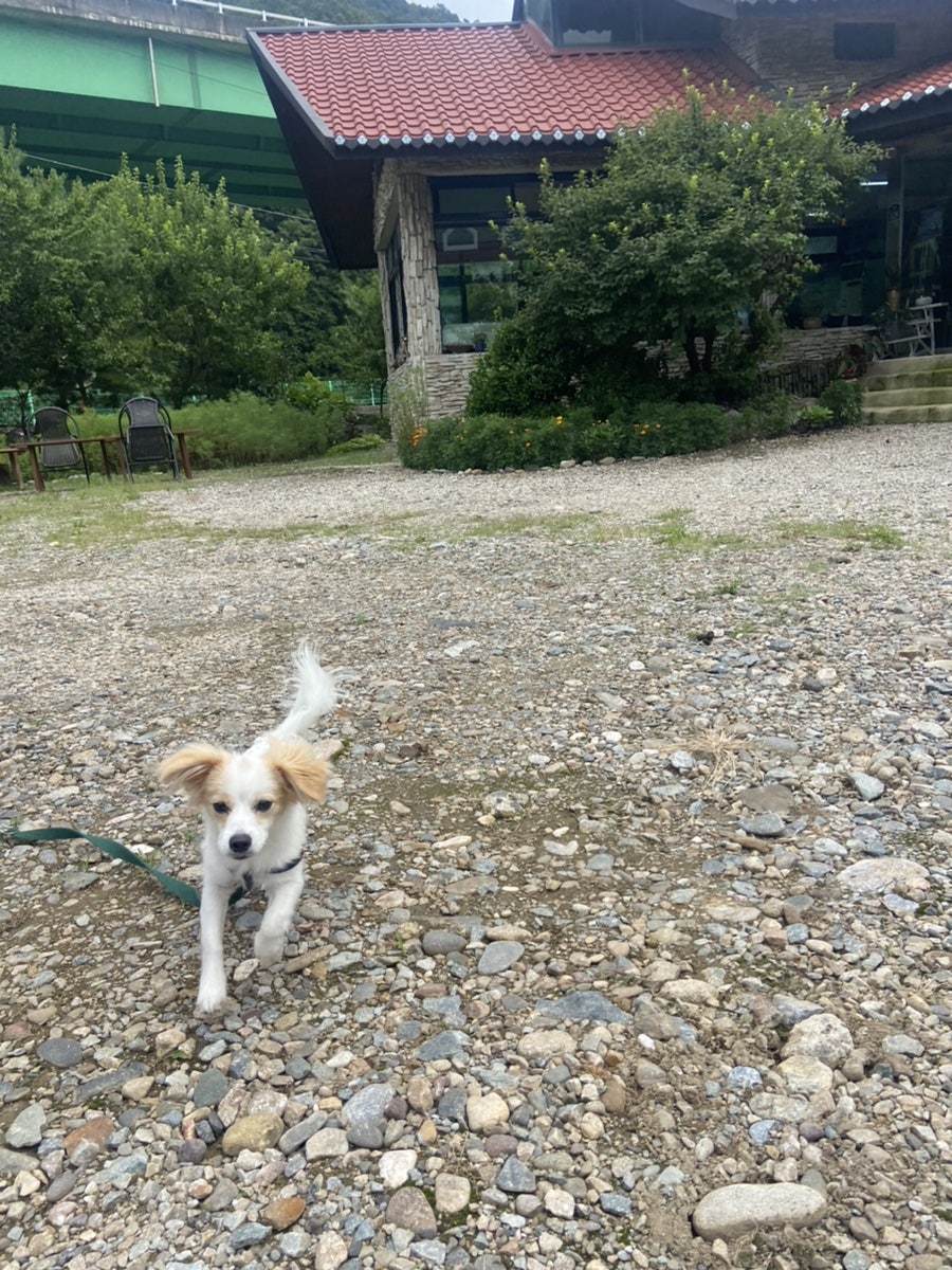 미로다육카페 사진 2