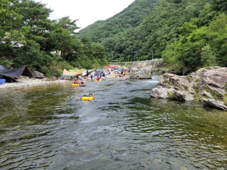  가평아이랑갈만한곳 무료 취사가능계곡 명지계곡 '냇가주차장' 솔직후기~