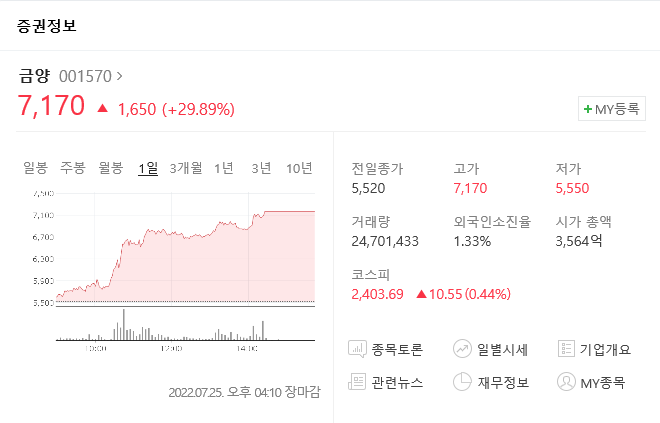  7/25 주식 급등주 분석 <금양>