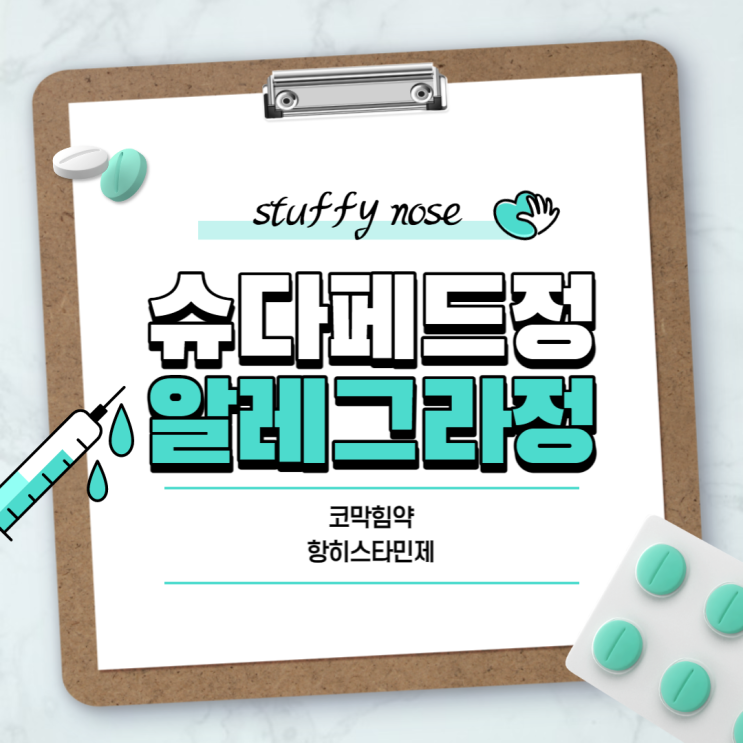  코막힘 약 : 슈다페드정 알레그라정 【#항히스타민제 #알레르기비염 #알레르기 #알러지】