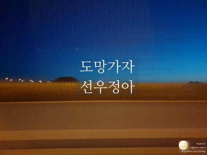 선우정아 - 도망가자 가사, 노래 듣기, MV