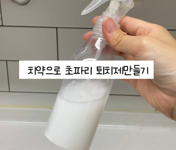  치약으로 초파리퇴치제만드는법 가스렌지후드청소도 됨