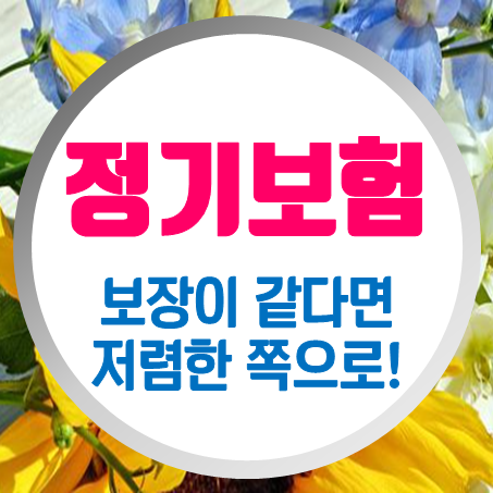  온라인정기보험 추천, 같은 내용이라면 가격이 저렴한 쪽이 좋겠죠!