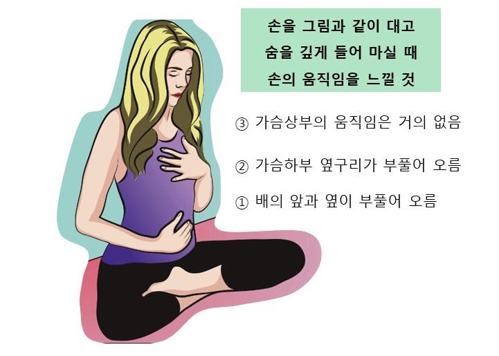  횡격막호흡과 내장마사지, 그리고 미주신경(vagus nerve) 활성화
