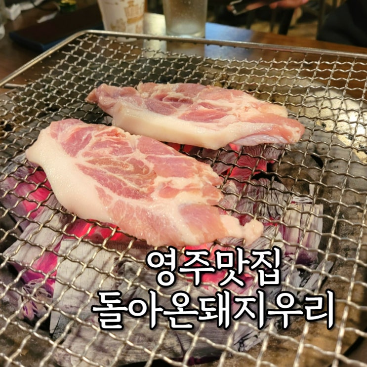  영주 삼겹살 맛집 돌아온 돼지우리 최애 고기집 등극 내돈내산
