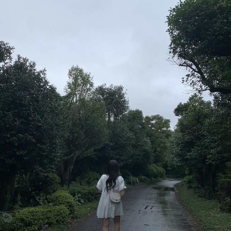  사람일 모르는 일년전 과거 여행️ 할라피뇨체다썬칩 ̈