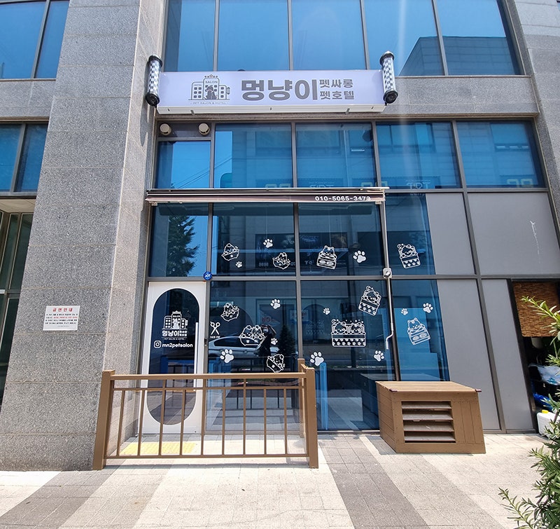 사진 5