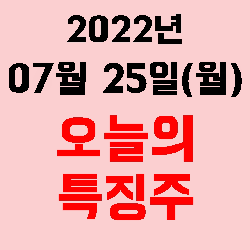  오늘의 시장 특징주 2022년 07월 25일(월)