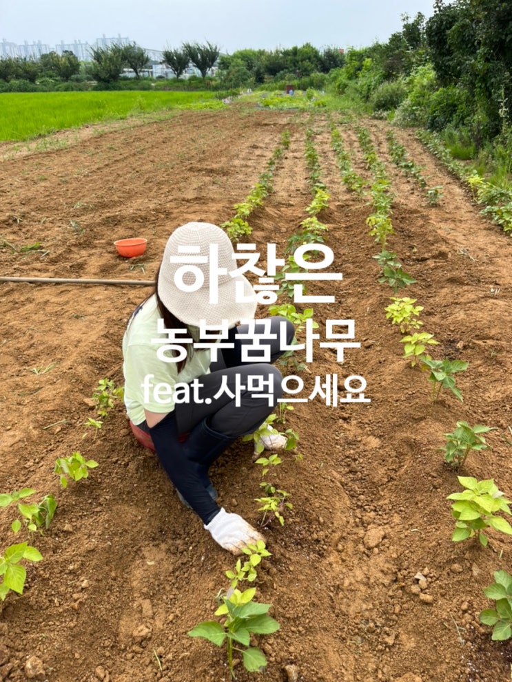  농부의 인생 #2(feat. 사먹으세요)
