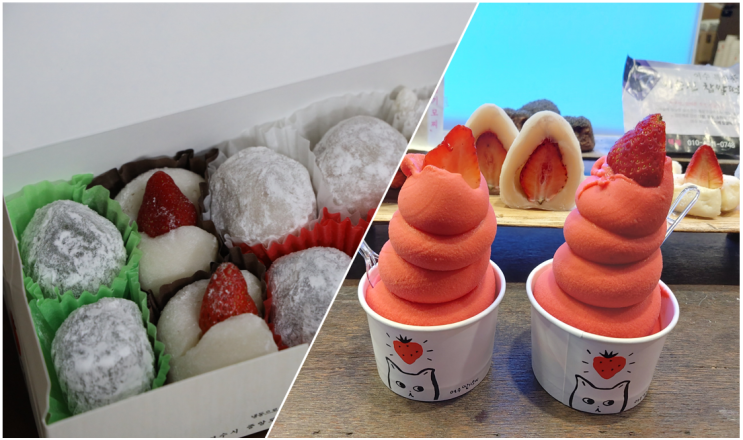  [여수 디저트 맛집 추천 : 여수딸기모찌] 생딸기 아이스크림, 혼합 10구 생딸기 모찌 선물세트 (팥앙금, 백앙금, 녹차앙금, 크림치즈) (feat. 주차정보)