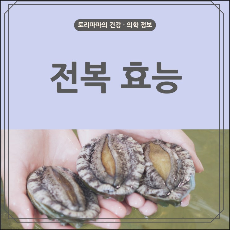  전복 5가지 효능과 부작용