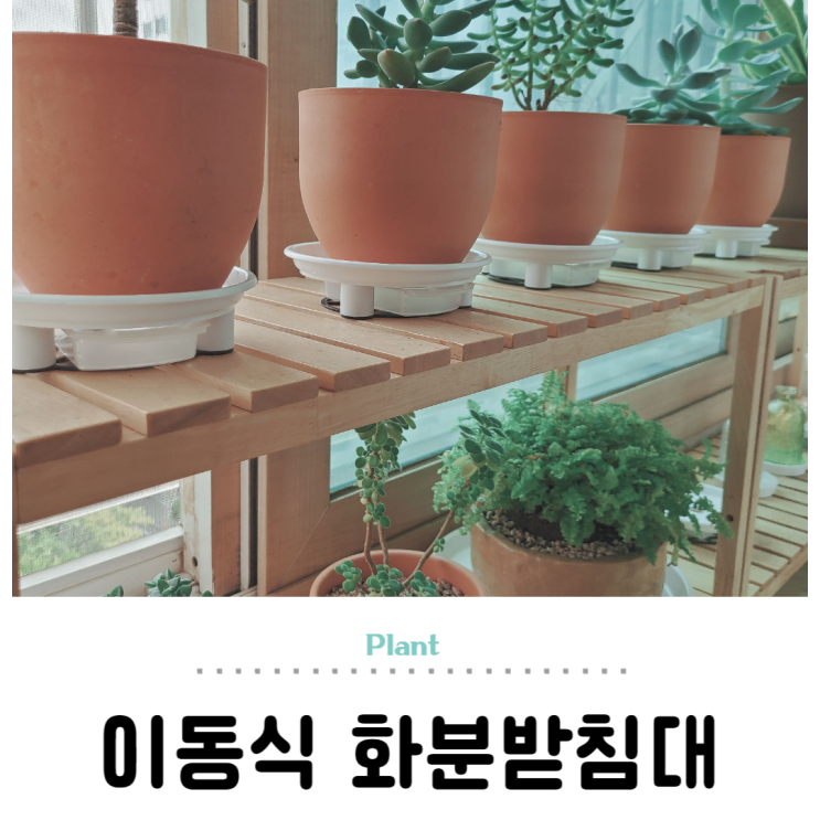  바퀴달린 이동식 화분받침대, 물 빠짐 트레이 고르기