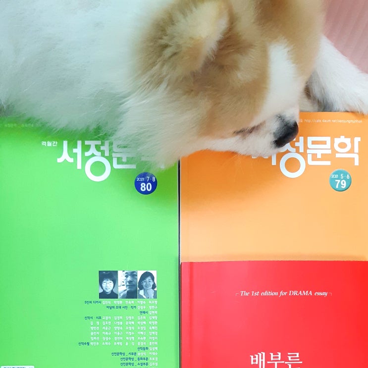  [글쓰기 특강] 작가 되는 법, 그것이 알고 싶다. (브런치, 드라마, 웹툰, 방송 작가) (글쓰기 공모전 출품) (글감, 습작, 퇴고, 가독성)