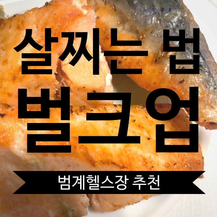  범계헬스장 - 살찌는법 & 벌크업