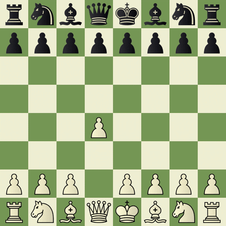  1. against 2...c5 (Steinitz Countergambit)