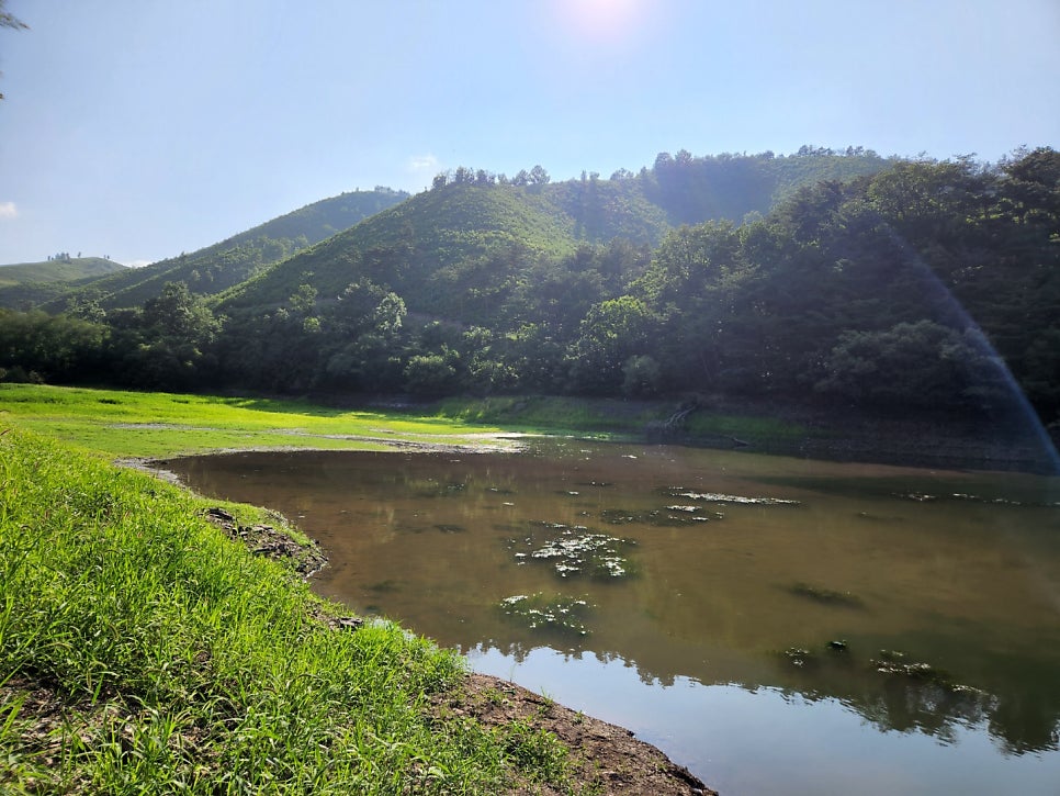 단호지 사진 3