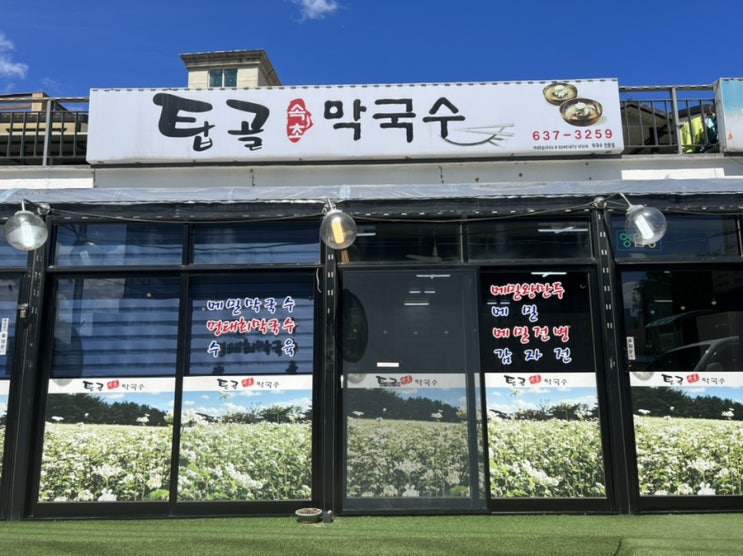 속초 해수욕장 탑골막국수 또 먹으러 가고 싶다