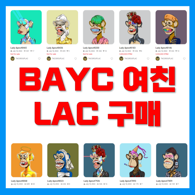 스트림코인(STRM), BAYC 여자친구 LAC STMRNFT 구매방법, 오로라캣 에어드랍