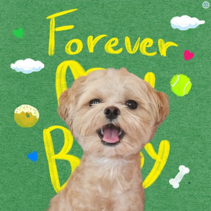 이츠 - Forever My Baby [노래가사, 듣기, MV]