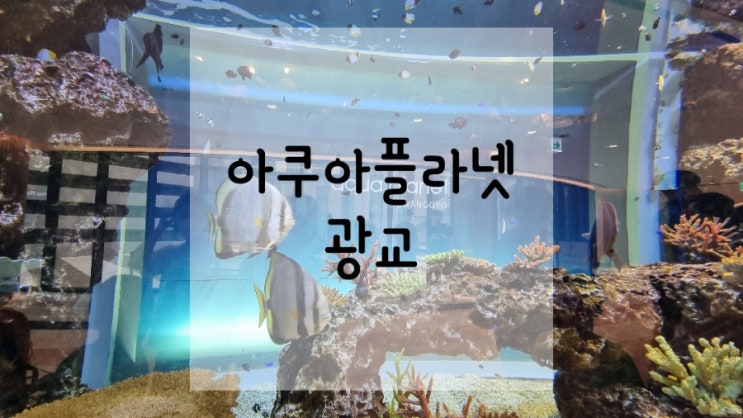  한화 아쿠아플라넷 광교
