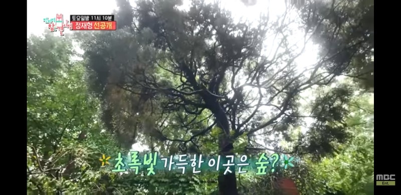 전지적참견시점 정재형의 식물 가득한 테라스! 이태원 집 아파트 위치 정보