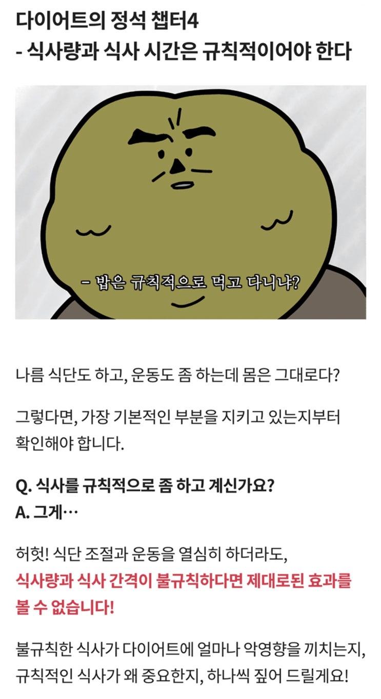  식사량과 식사 시간은 규칙적이어야 합니다.(애터미 슬림바디챌린지- day 30)