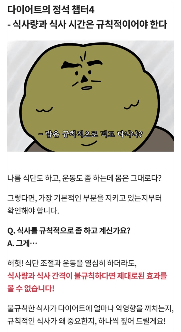 식사량과 식사 시간은 규칙적이어야 합니다.(애터미 슬림바디챌린지- day 30)