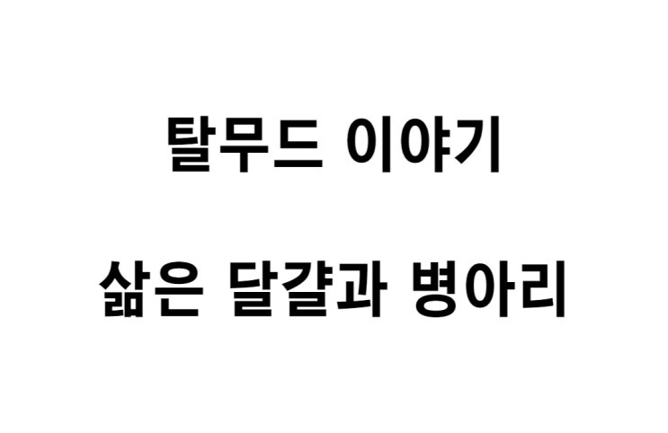  [탈무드 이야기] 삶은 달걀과 병아리