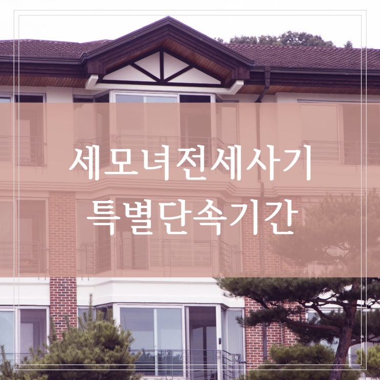  세모녀 전세사기 사건 빌라 깡통전세 피하는 법과 특별단속 실시 기간
