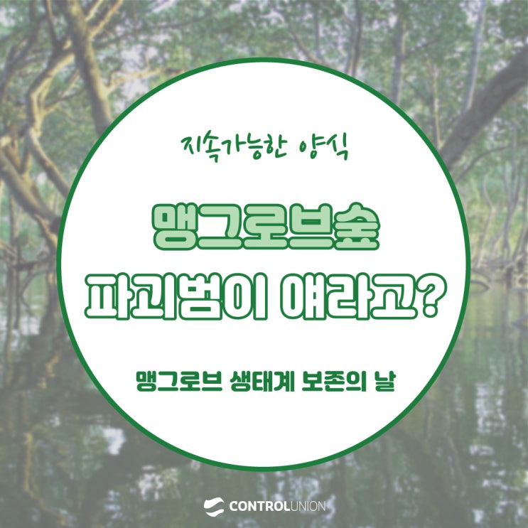  [맹그로브 생태계 보존의 날] 맹그로브숲 파괴범이 얘라고?