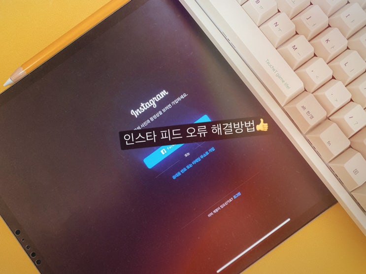  인스타 피드 오류 게시물 새로고침 초간단 해결방법은?