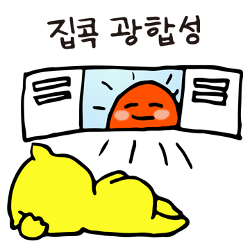  VER&MIRAR 차이점 _스페인어 입문