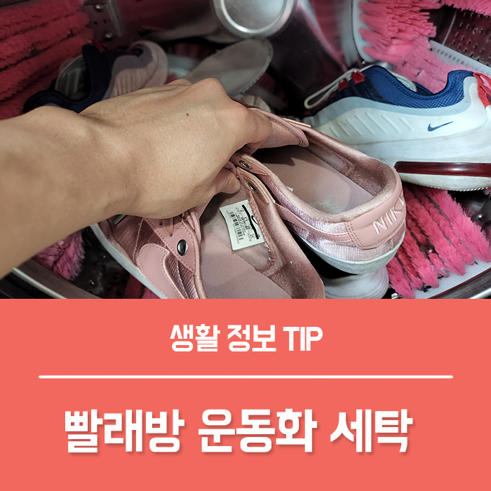  셀프세탁방 운동화 빨래방에서 운동화 세탁 말리기, 신발 세탁기 빠는법