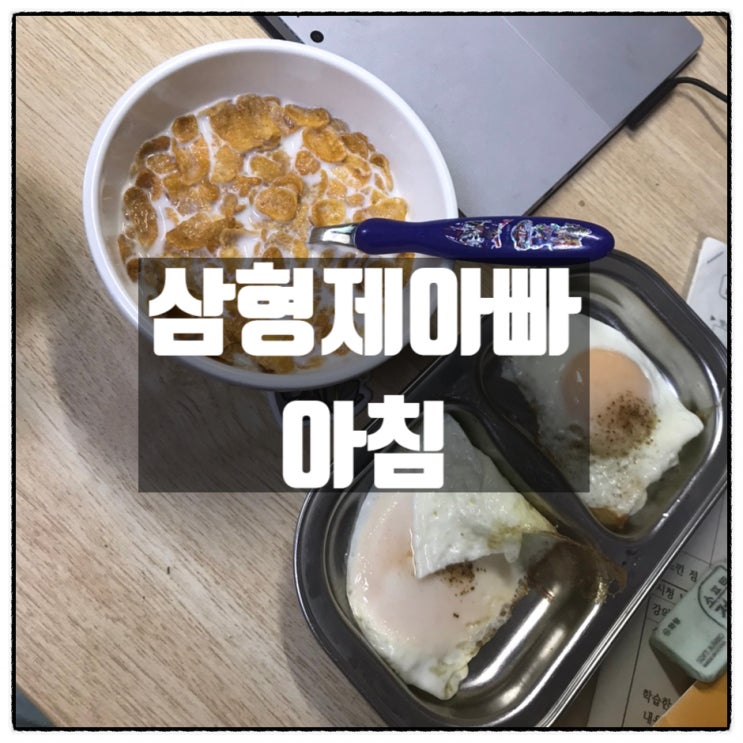 삼형제아빠의 화요일 아침 삼형제아빠의 화요일 아침
