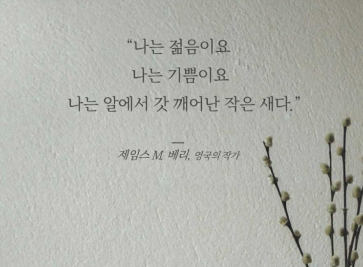  부거사이 [부동산 뉴스와 블로그] 7월 26일(화)