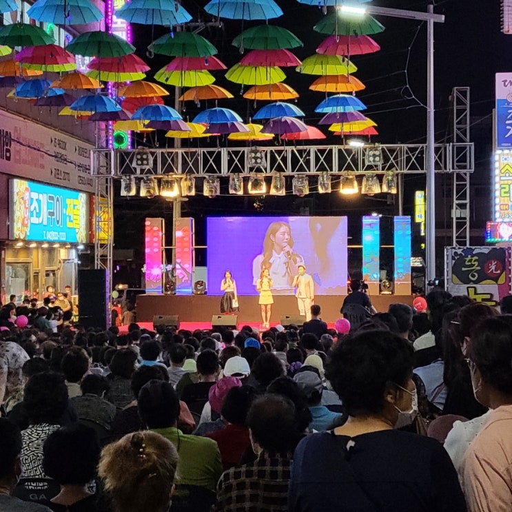 7월 넷째주 주간일기) 맥주축제, 커피, 냥이