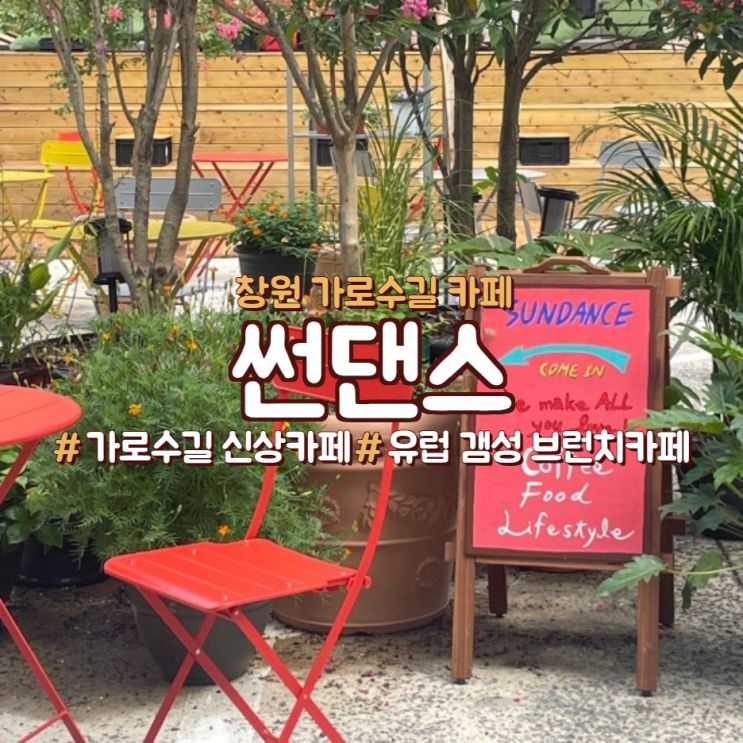  창원 가로수길 브런치 카페, 썬댄스(애견동반 가능)