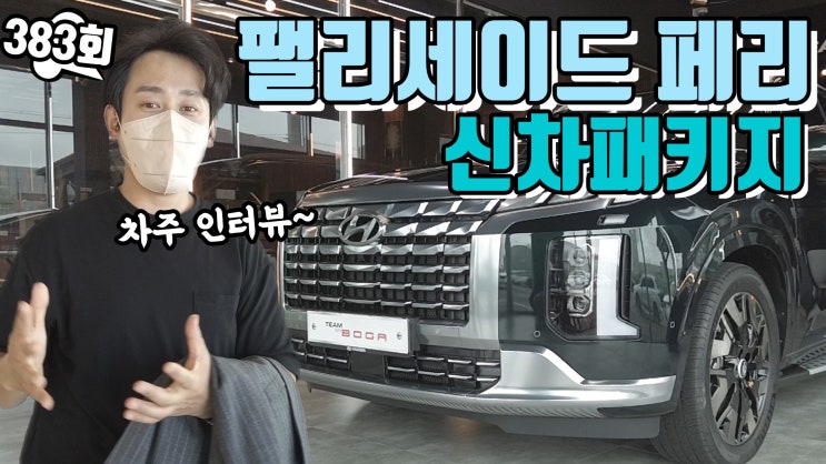  팰리세이드 페이스 리프트 차량에 신차 패키지 진행했어요