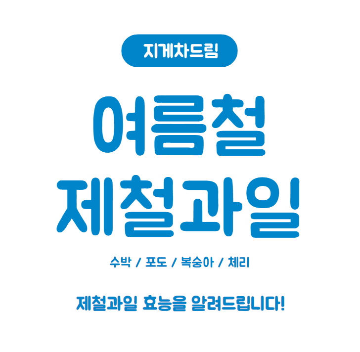  여름철 제철과일 효능 / 수박 / 포도 / 복숭아 / 체리