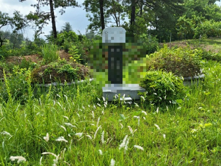  2022년 충북 영동군 황간면 서송원리 국립호국원 안치 김천고인돌장의사 #김천화장 #호국원 #김천장의사 #김천이장 #김천화장 #황간장의사 #영동장의사 #황간이장 #영동이장
