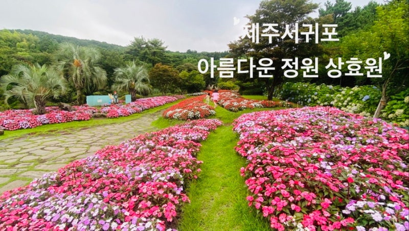 [제주서귀포] 9월 제주도 가볼만한 곳, 사진찍기 좋은 아름다운 정원이 있는 상효원 수목원