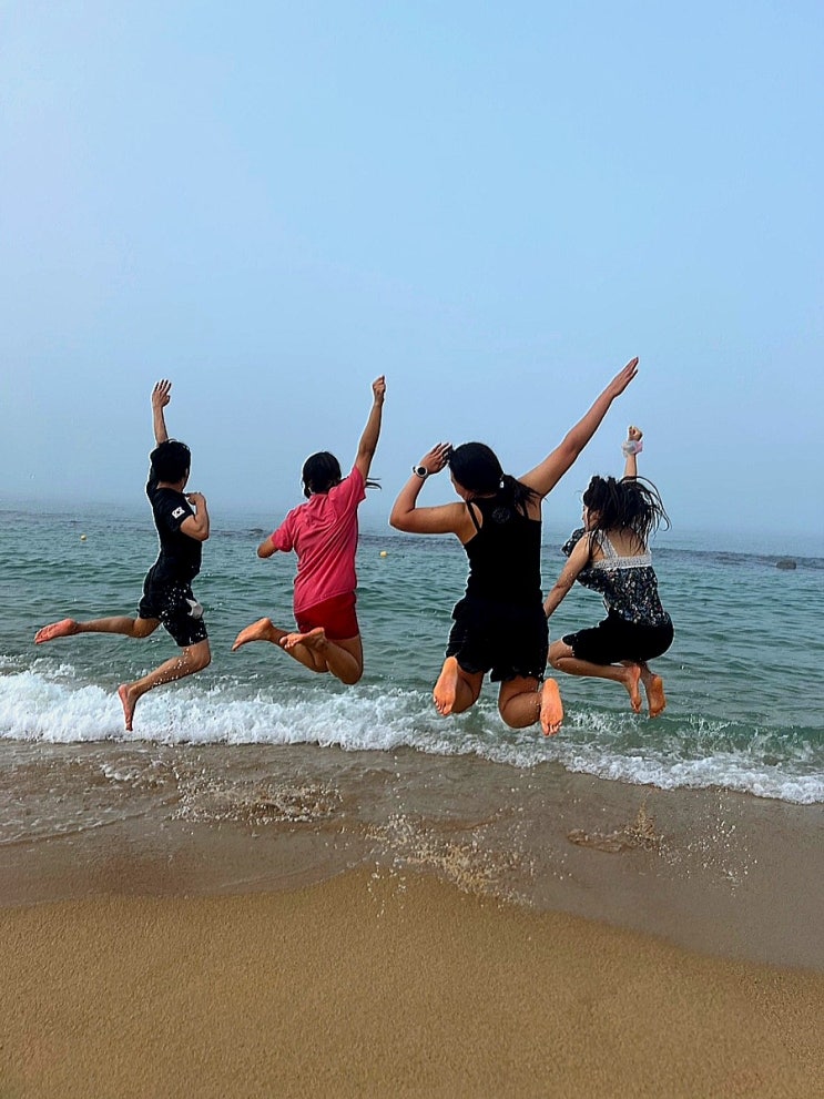  [강릉여행코스추천] 알찬 강릉여행 1박2일 코스 추천!!