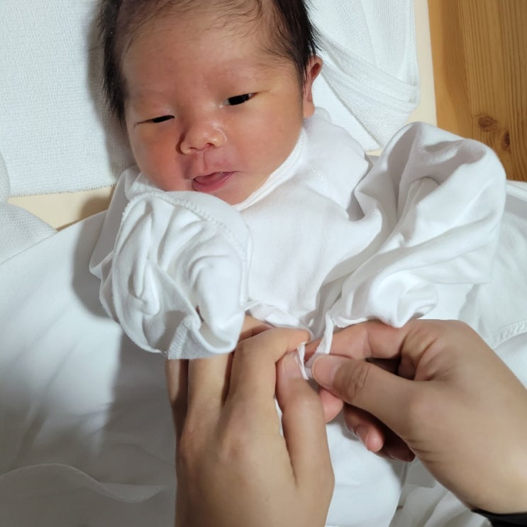  인생4일차 쑥쑥이 입니다