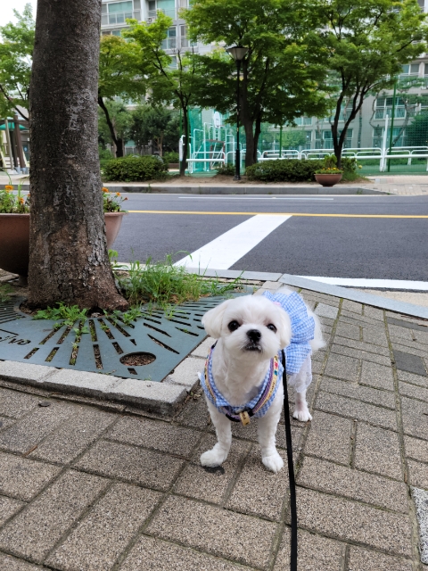  주간일기 챌린지 (2022. 07. 18 ~ 07. 24) - 조금은 여유 있는 한주이길 바랬는데