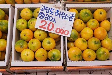 오늘청과2 이미지