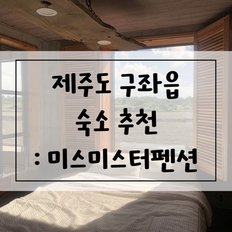  [제주도/숙소] 제주도 구좌읍 독채 & 편백욕조 숙소, 미스미스터펜션 B동