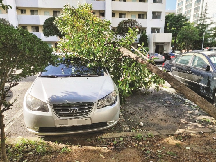 ‘아파트 주차차량 태풍 피해’ 입대의 배상책임 어디까지?