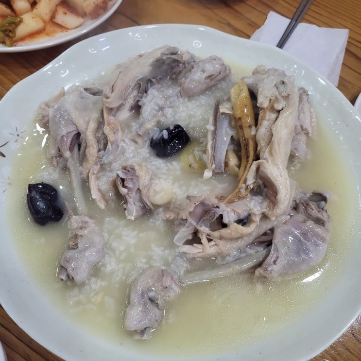  (내돈내먹) 대전 삼계탕 백숙 맛집(초복,중복,말복,행복)