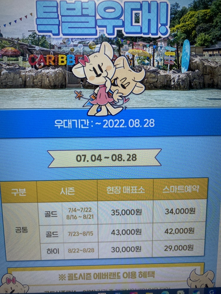  정말 놀란 캐리비안베이 할인 카드
