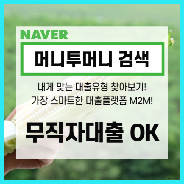  평창군 무소득대출 가능한 부분인지 알아보기